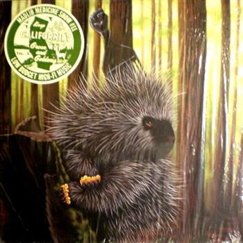 Madlib - Medicine Show No. 11 LP - Madlib Medicine Show Madlib - Medicine Show No. 11 LP - Madlib Medicine Show