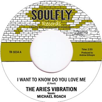The Aries Vibration - Soulfly Records