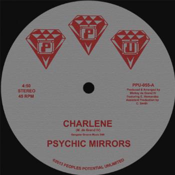 PSYCHIC MIRRORS - Peoples Potential Unlimited