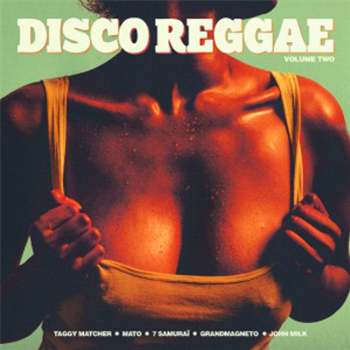 Various Artists - Disco Reggae Vol 2 - Stix Records