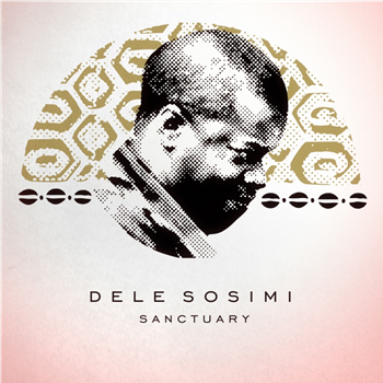 Dele Sosimi - Sanctuary (7") - Wah Wah 45s