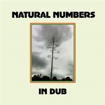 Natural Numbers - Natural Numbers In Dub LP - Stones Throw