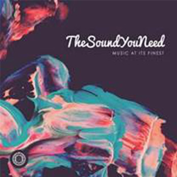 THESOUNDYOUNEED - Va (2 X LP) - THE SOUND YOU NEED