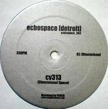 CV313 - Echospace