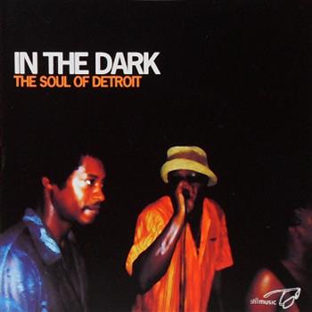In The Dark: The Soul Of Detroit - VA - LP - Still Music