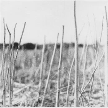 Recondite - On Acid (2022 Repress 2 X LP Edition) - Acid Test