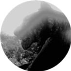 Regis - Downwards Regis - Downwards