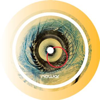The Florian Muller Project - Nowar The Florian Muller Project - Nowar