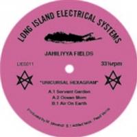 JAHILIYYA FIELDS - UNICURSAL HEXAGRAM - L.I.E.S