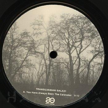 Transilvanian Galaxi - Acido Records