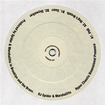 DJ Spider & Marshallito - Hyper Chaotic Dimensional Presence - subBASS Sound System