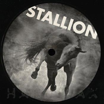Stallion - Stallion