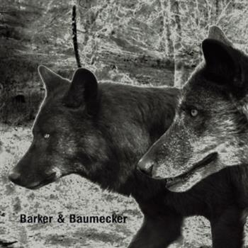 Barker & Baumecker - Transsektoral LP - Ostgut Ton