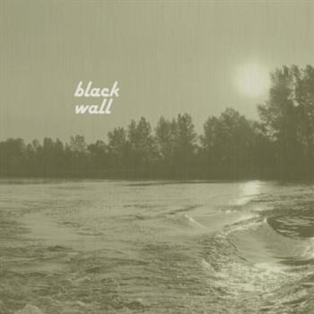 YURI SHULGIN - BELUGA - BLACK WALL YURI SHULGIN - BELUGA - BLACK WALL