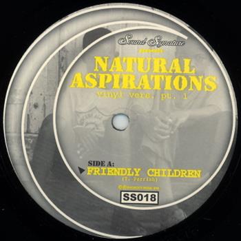 Theo Parrish - Natural Aspirations - Sound Signature