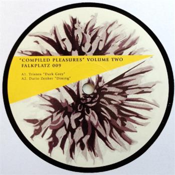 Compiled Pleasures, Chapter Two - VA - FALKPLATZ Compiled Pleasures, Chapter Two - VA - FALKPLATZ