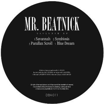 Mr Beatnick - Dont Be Afraid