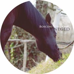 Bosconi Stallions Neged - VA - Bosconi