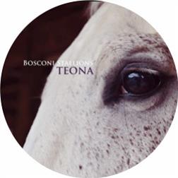 Bosconi Stallions Teona - VA - Bosconi