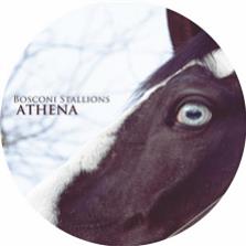Bosconi Stallions Athena - VA - Bosconi