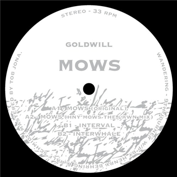 Goldwill - Wandering Music