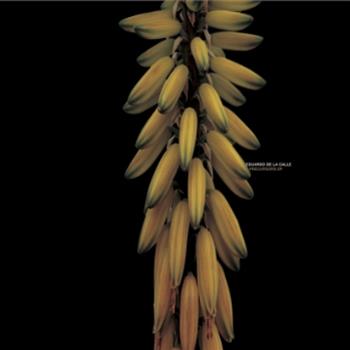 Eduardo De La Calle - Precursors EP - Cadenza Eduardo De La Calle - Precursors EP - Cadenza