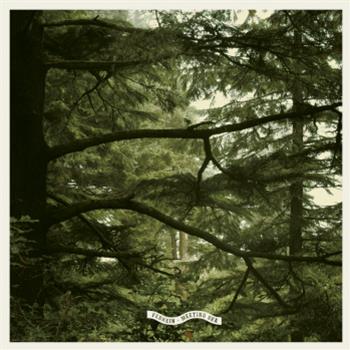 Ferrein - Meeting Sea EP - Musik Gewinnt Freunde Ferrein - Meeting Sea EP - Musik Gewinnt Freunde