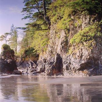 Segue - Pacifica LP - Silent Season Segue - Pacifica LP - Silent Season