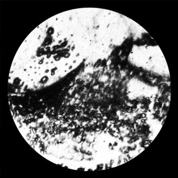 Abdulla Rashim - Alem Maya - Abdulla Rashim Records Abdulla Rashim - Alem Maya - Abdulla Rashim Records