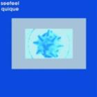Seefeel - Quique LP - Medical Records / Modern Classics Records