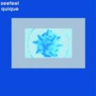 Seefeel - Quique LP - Medical Records / Modern Classics Records Seefeel - Quique LP - Medical Records / Modern Classics Records