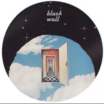 ANALOGUE EXPERIMENTS - BLACK WALL ANALOGUE EXPERIMENTS - BLACK WALL
