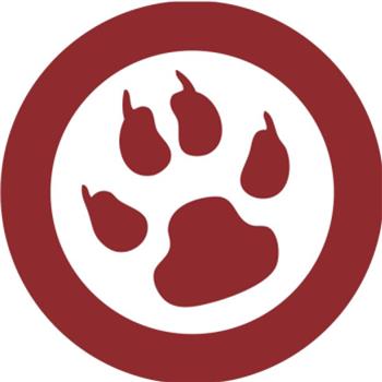 Fat Dog - Fatdog Records Fat Dog - Fatdog Records