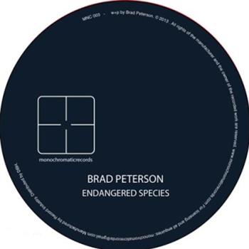 BRAD PETERSEN / BANFIELD AUDIO - Monochromatic Records