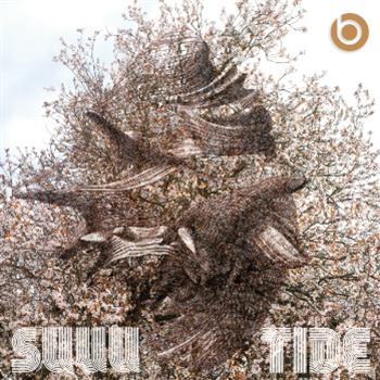 White Collar Boy - Bodytonic Music White Collar Boy - Bodytonic Music