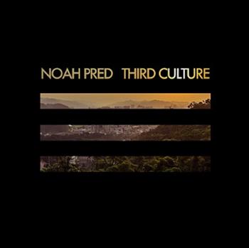 Noah Pred - Third Culture LP (2 x 12") - Thoughtless Music