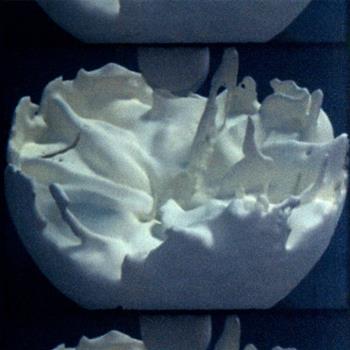 Rose Kallal & Mark O Pilkington - Implicate Explicate - We Can Elude Control Rose Kallal & Mark O Pilkington - Implicate Explicate - We Can Elude Control