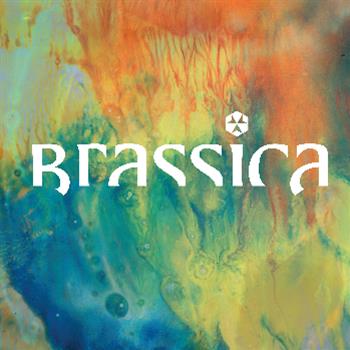 Brassica - Hayat Zor EP - Civil Music