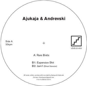 Ajukaja & Andrevski - Rare Birds - Levels