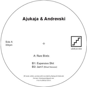 Ajukaja & Andrevski - Rare Birds - Levels Ajukaja & Andrevski - Rare Birds - Levels