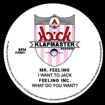 Mr. Feeling (Jordan Fields) - HOUSE IS MR. FEELING LP (12" + 1-Sided 12") - Klapmaster Records