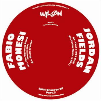 Fabio Monesi / Jordan Fields - Split Grooves EP Part 3 - Wilson Records