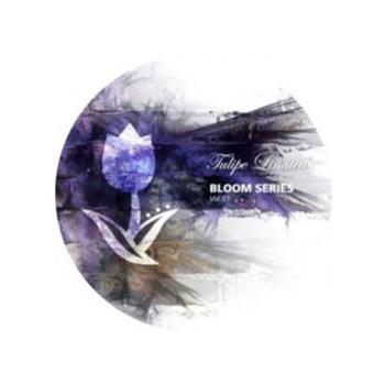 Bloom Series Vol. 1 - VA - Tulipe Records