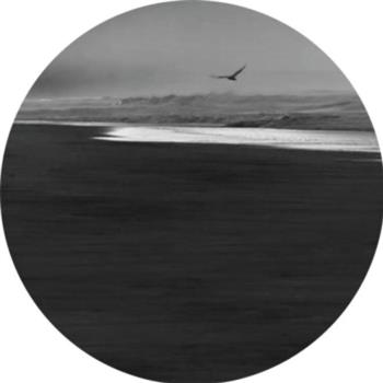 Brad Peterson - Inner Shift Music Brad Peterson - Inner Shift Music