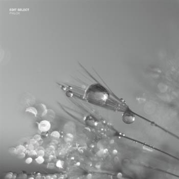 Edit Select - Phlox LP (2 x 12") - Prologue Music Edit Select - Phlox LP (2 x 12") - Prologue Music