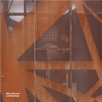 Mike Dehnert - Lichtbedingt LP (2 x 12") - Delsin Records