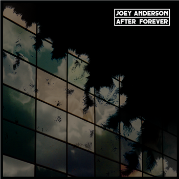 JOEY ANDERSON - AFTER FOREVER - Dekmantel