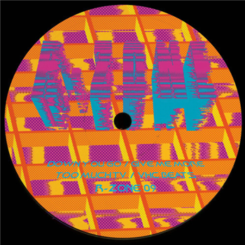 Rzone 9 - Down You Go EP - R-Zone Rzone 9 - Down You Go EP - R-Zone