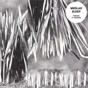 Medlar - Sleep - WOLF MUSIC