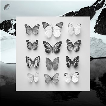 Christian Löffler - Young Alaska - Ki Christian Löffler - Young Alaska - Ki